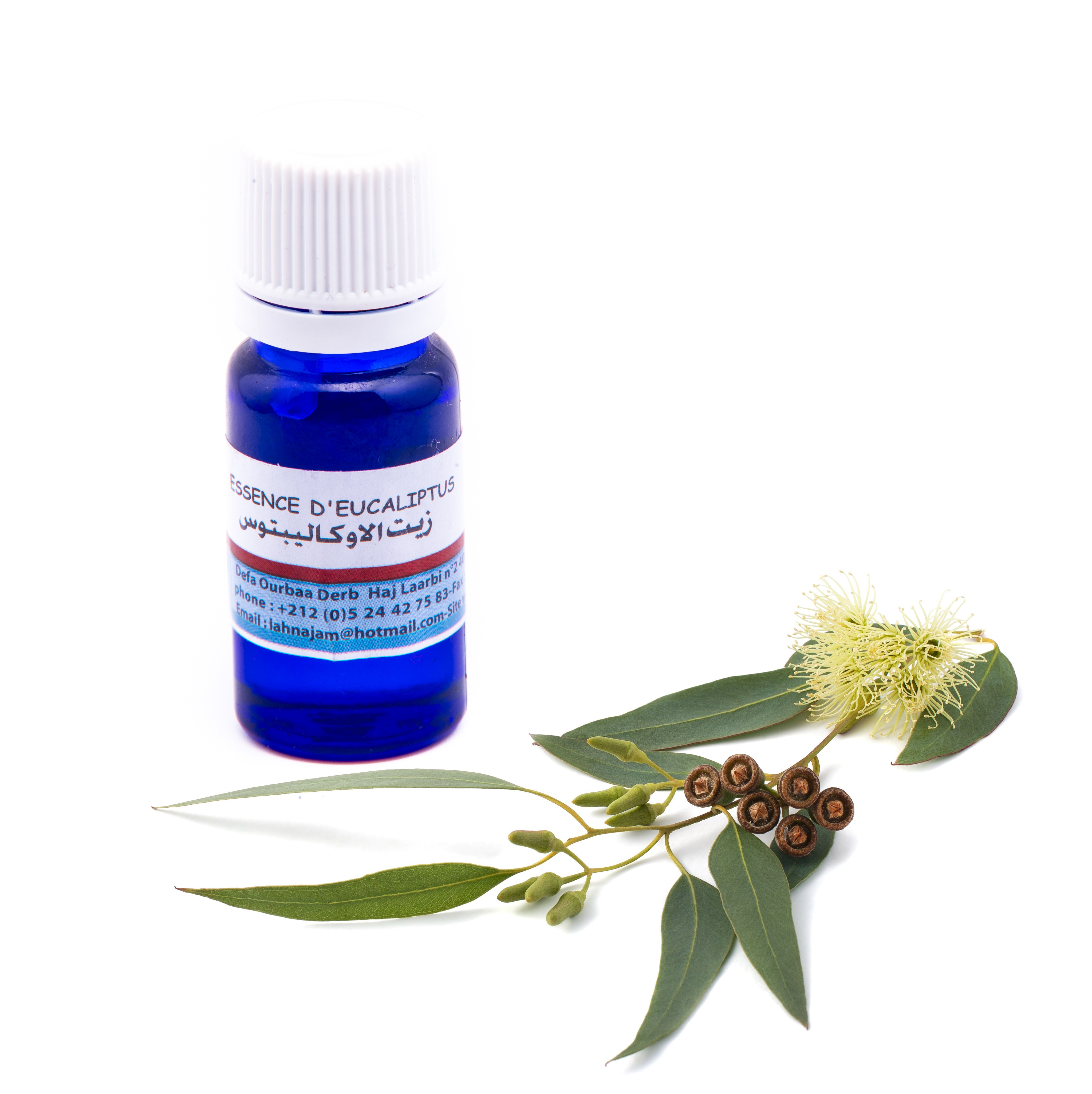 Eucalyptus Essential Oil - RosaHuile